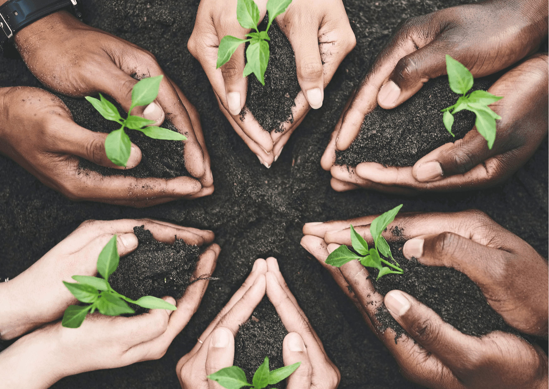 Apprendre les Métiers de la Terre
