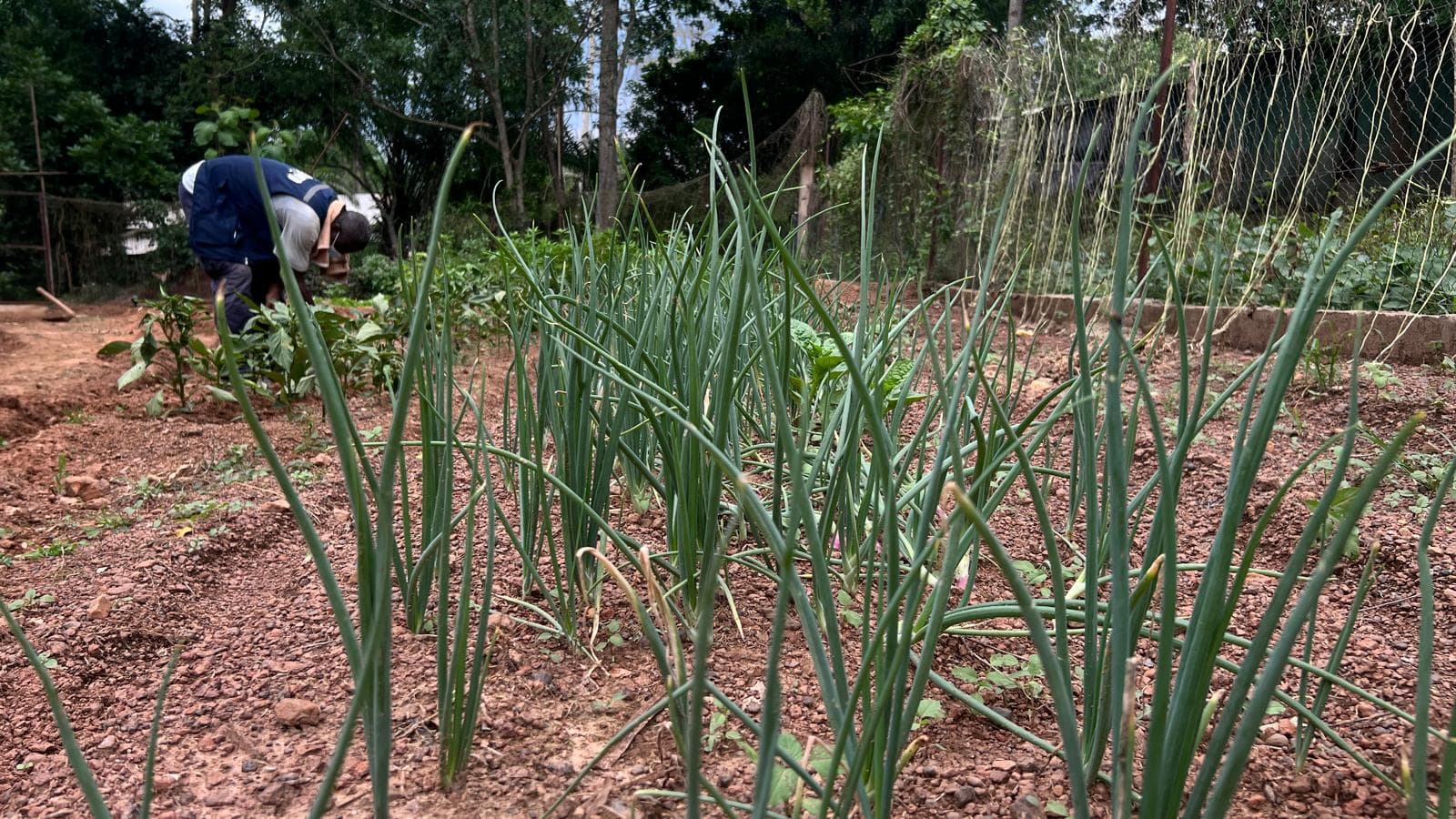 Formation agricole
