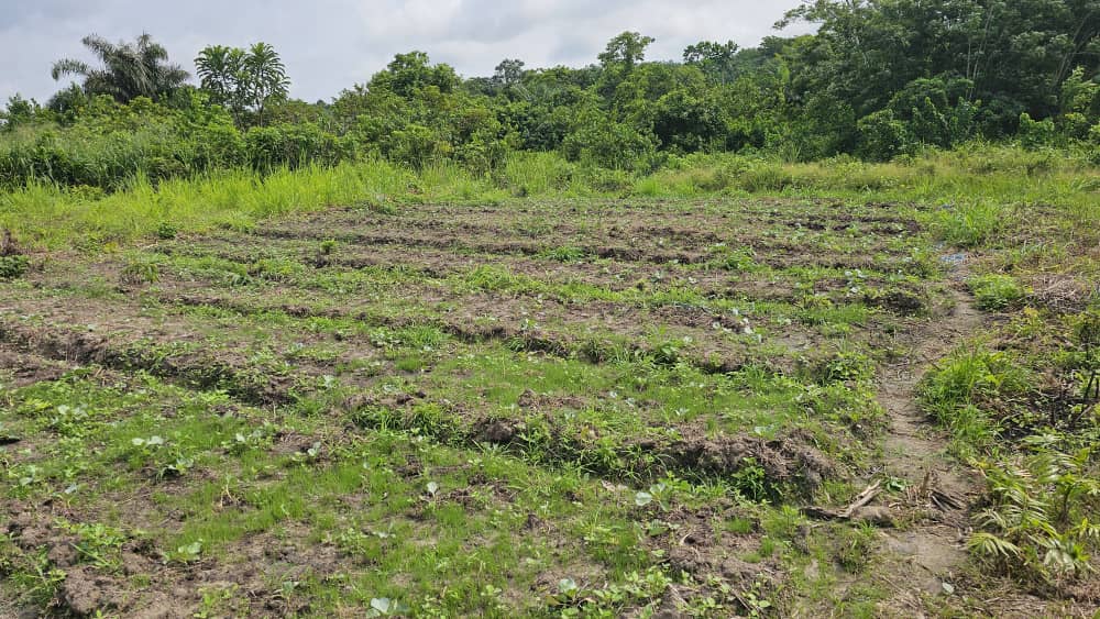 Préparation des terres pour la nouvelle saison