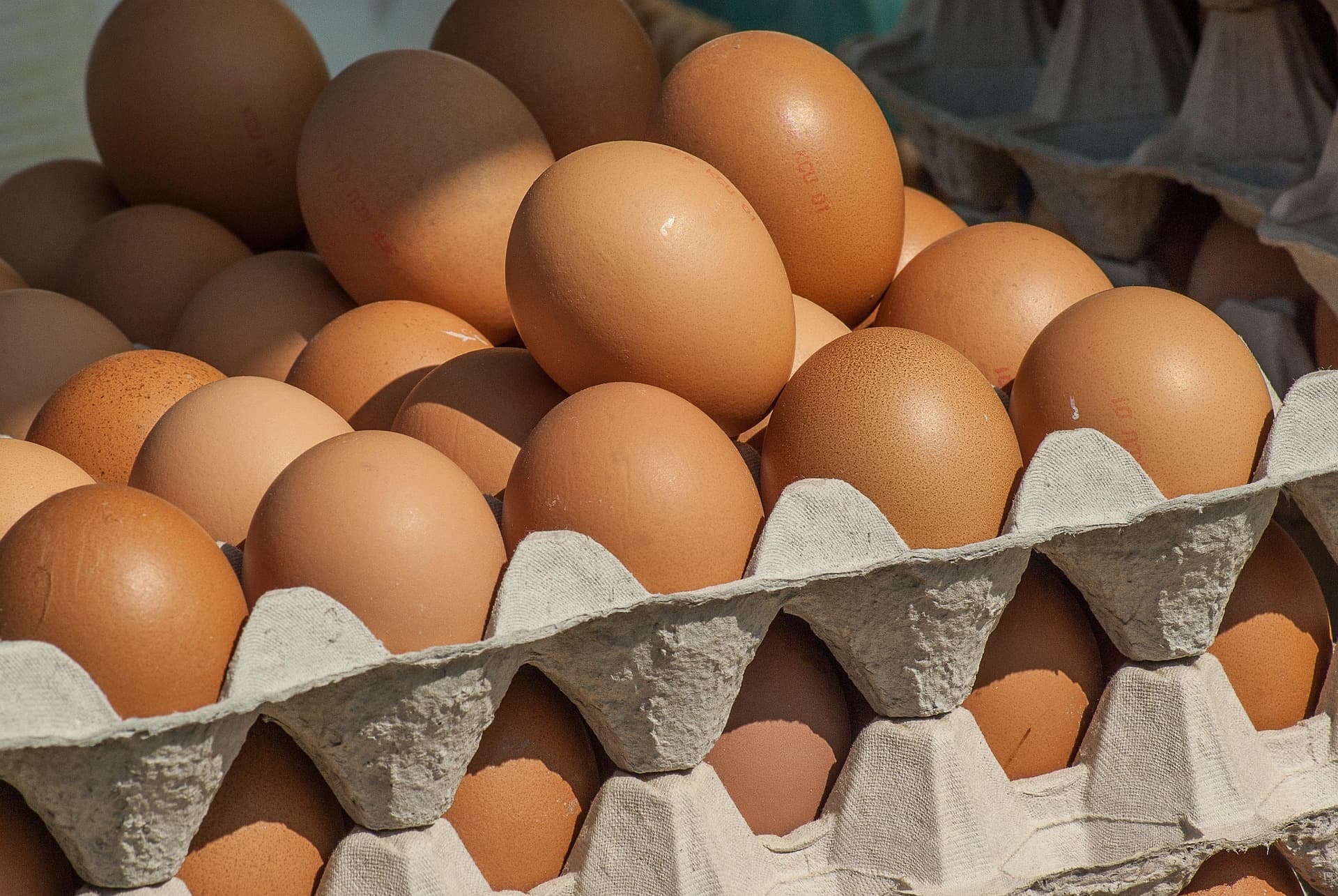 Oeufs Frais