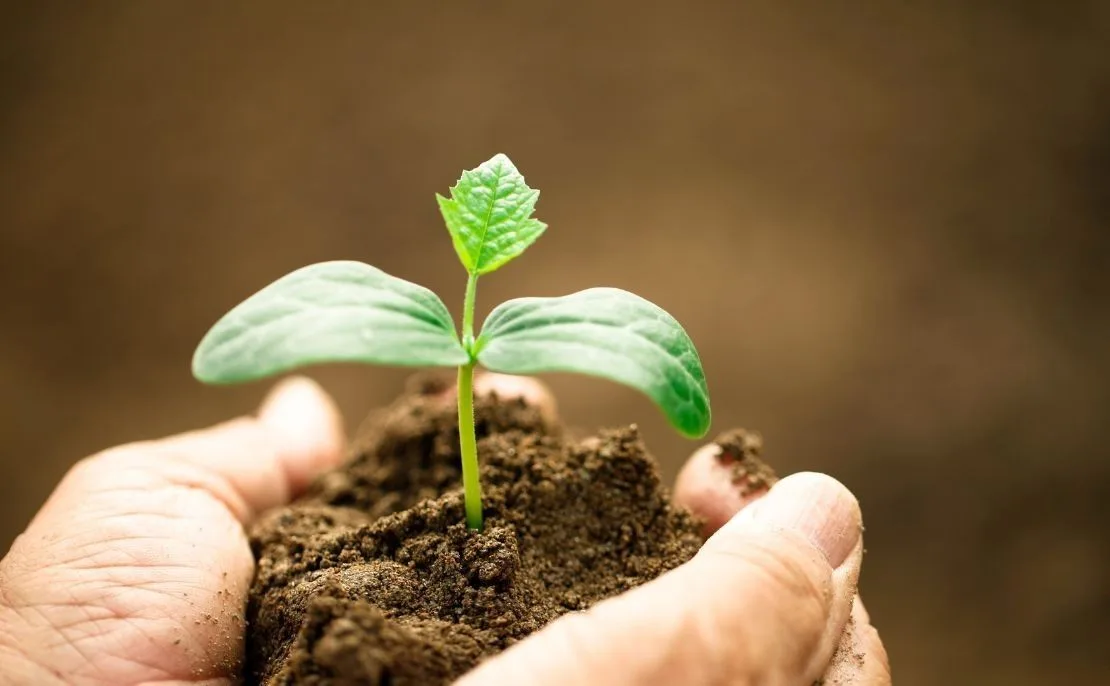 Les bases de l'agriculture biologique