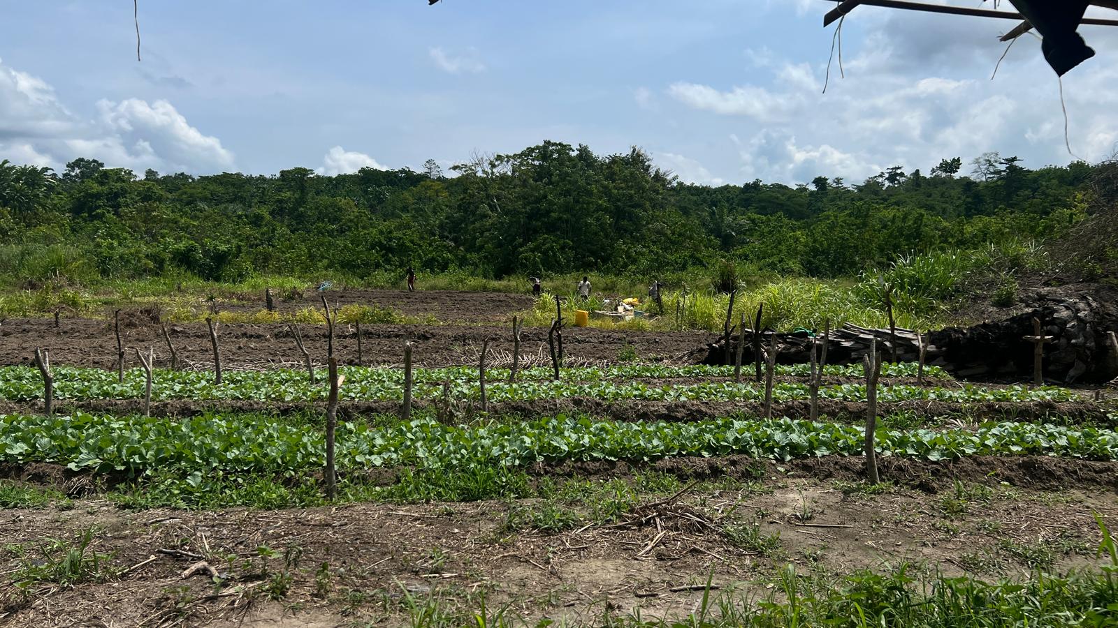 Agriculture Intégrée